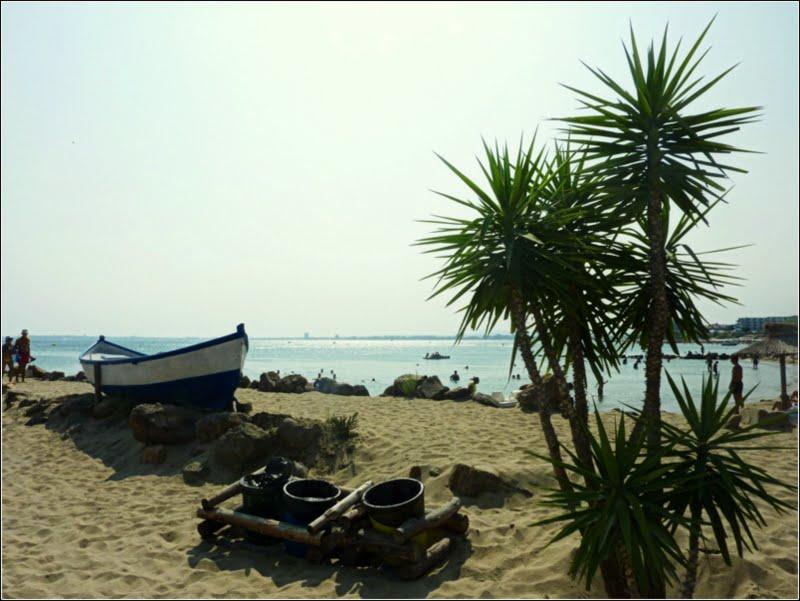 Family Hotel Venera Sveti Vlas Dış mekan fotoğraf