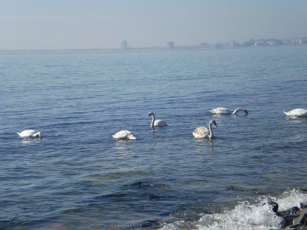 Family Hotel Venera Sveti Vlas Dış mekan fotoğraf